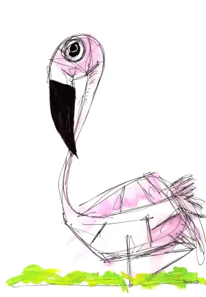 Flamingo 37, Irma 2023